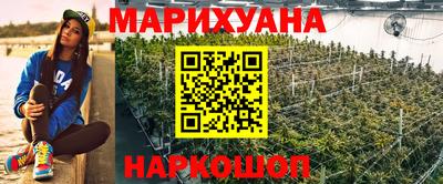 стафф Кимры